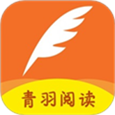 91AV毛片视频APP应用