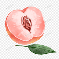 快播appAPP应用