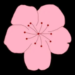 香妃官方正版下载网站APP应用