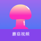 WWW,241se·COM网站APPAPP应用